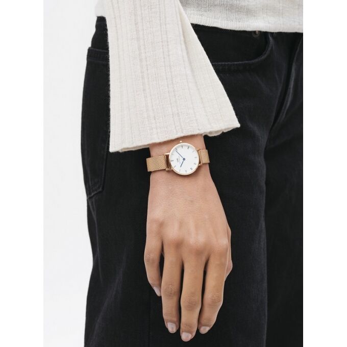 Laikrodis DANIEL WELLINGTON DW00100681 / 28 mm	