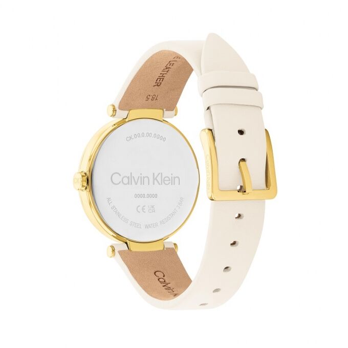 Laikrodis CALVIN KLEIN CK25200254