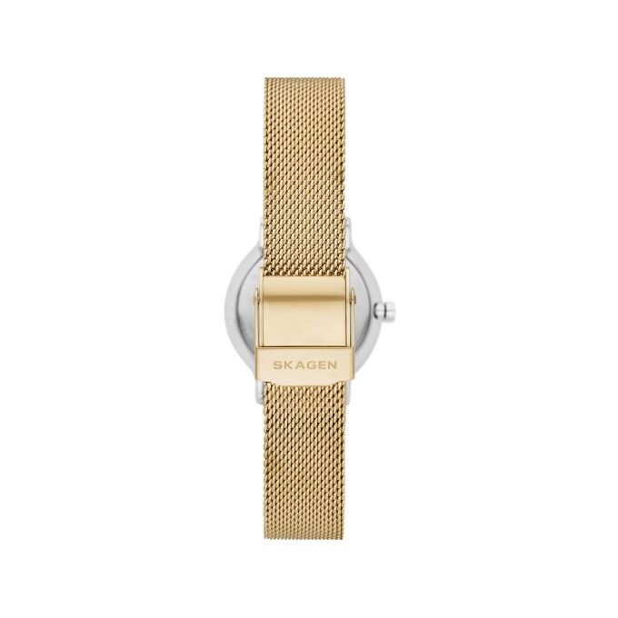 Laikrodis SKAGEN SKW3068	