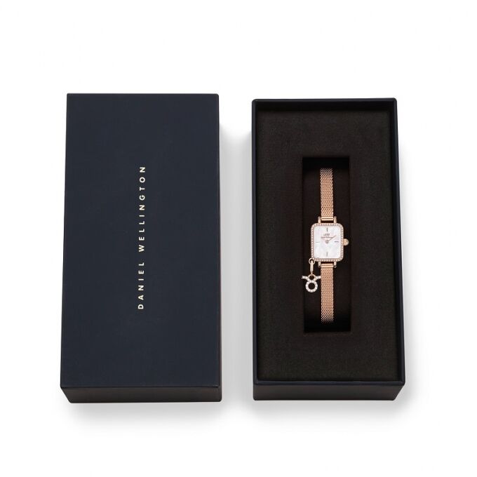 Laikrodis DANIEL WELLINGTON DW00100751 / 15.4x18.2mm