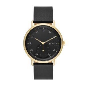 Laikrodis SKAGEN SKW6896	