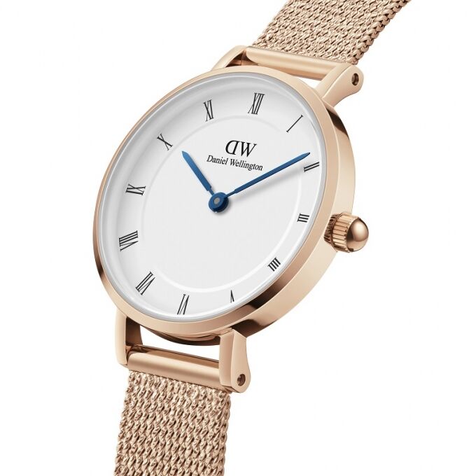 Laikrodis DANIEL WELLINGTON DW00100681 / 28 mm	